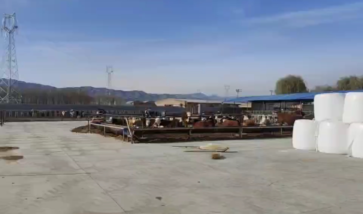 投放小區(qū)鮮奶機牧場 投放小區(qū)鮮奶機牧場