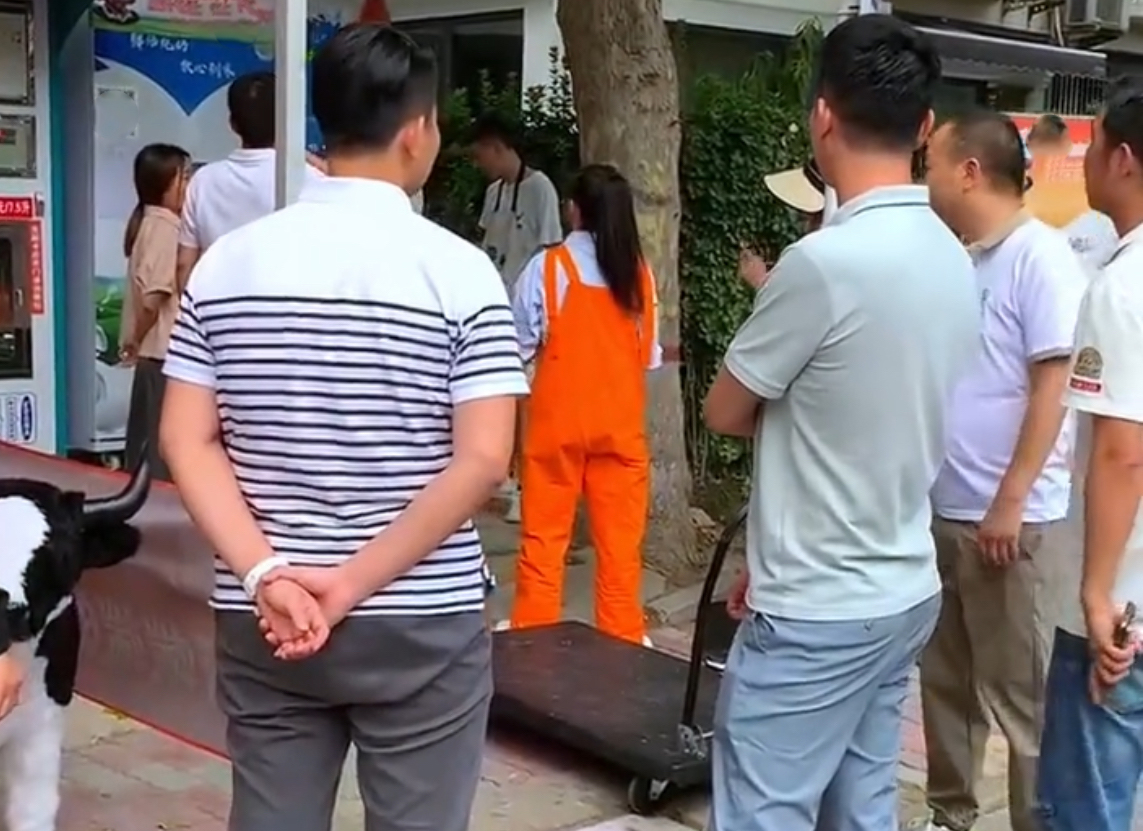 24小時(shí)售奶機(jī) 24小時(shí)售奶機(jī)